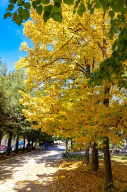 Sulmona Villa Comunale sokakları yürüyüş