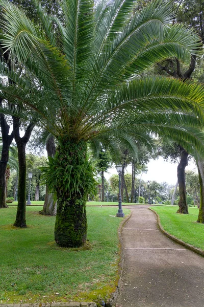 The fantastic gardens of Naples Villa Rosebery
