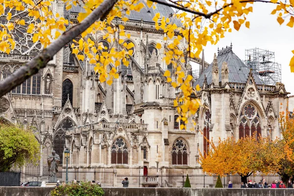 Bawah Hujan Berjalan Melalui Jalan Jalan Paris Ile Notre Dame — Stok Foto