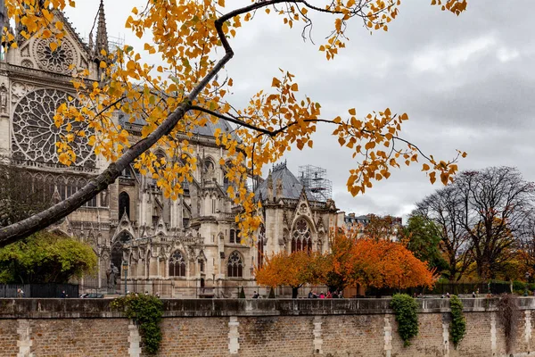 Bawah Hujan Berjalan Melalui Jalan Jalan Paris Ile Notre Dame — Stok Foto