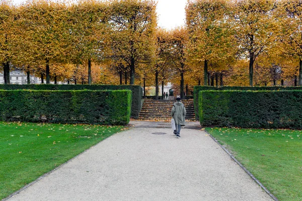 Bajo Lluvia Caminando Por Las Calles París Jardín Des Tuleries — Foto de Stock