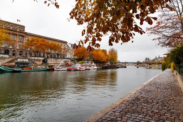 Paris Ile Notre Dame Sokaklarında Yürürken Yağmur Altında — Stok fotoğraf