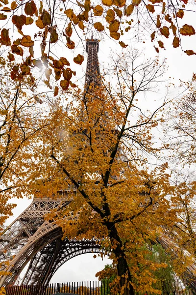 Під Дощем Ходьба Вулицях Парижа Башта Eiffel — стокове фото