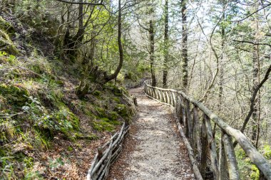Piknik alanı ile Fontegreca yolu geziliyor