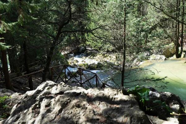 Piknik Alanı Ile Fontegreca Yolu Geziliyor — Stok fotoğraf