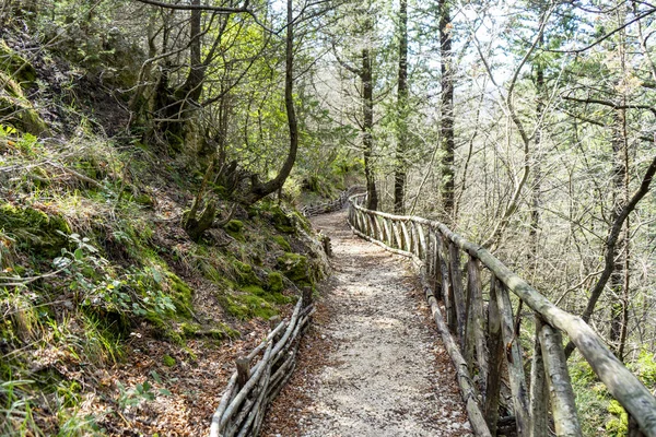 Piknik alanı ile Fontegreca yolu geziliyor