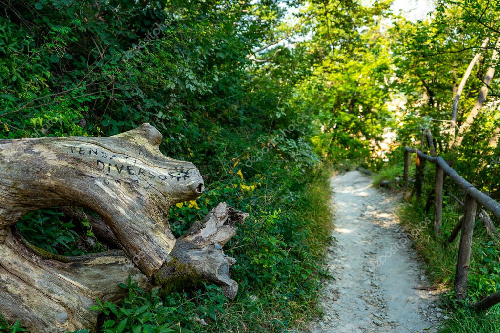 Italia Bolonia Florencia a pie, paseo de Dei trekking en los Apeninos