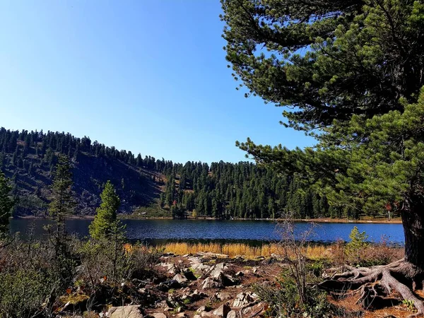 Los Lagos Karakol Las Montañas Altai Son Lugar Más Sorprendente — Foto de Stock