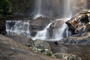 Petr 'polis, Rio de Janeiro' da tropik şelale.