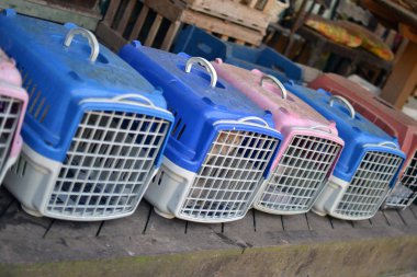 barınakta kedi ile kafesler