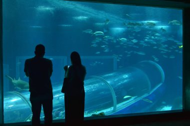 Aquarim in Rio de Janeiro, Brezilya