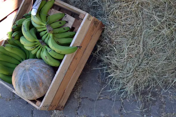 Plátano verde, calabaza y batata en caja de madera rústica —  Fotos de Stock