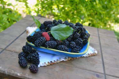 Brezilya 'dan izole edilmiş böğürtlen suyu 