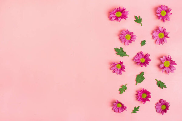 spring flowers on pink background.