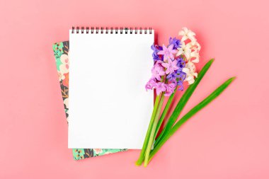 Bir buket sümbülü çiçekli işyeri, pembe arka planda beyaz not defteri üst görünüm alanı üzerinde yatar Sesonal 'ı düzenle, eğitim kavramı çiçek tatil kartı yeri metin için.