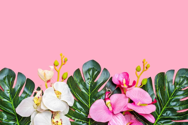 Mooie Bloemen Achtergrond Van Tropische Boom Bladeren Van Palm Orchidee — Stockfoto
