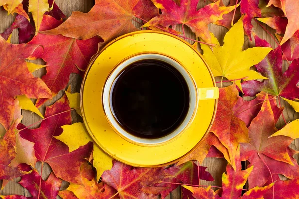 Kopp med varmt svart kaffe på ett träbord med hösten fallna gula, orange och röda blad Platt låg Ovanifrån Mock up Hej september, oktober, november, sesonal koncept — Stockfoto