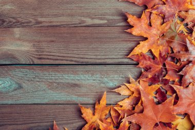 Eski ahşap masa ve sarı sonbahar akçaağaç yapraklı arkaplan dokusu Üst Manzara düz yatar metin için yer merhaba sonbahar, Eylül, Ekim, Kasım, doğa kavramı Rustik.