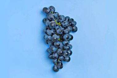 Klasik mavi arka planda doğal organik siyah sulu üzümler Top View Düz Yatağı. Rustic Style Country Village, 2020 yılının tarım kavramları