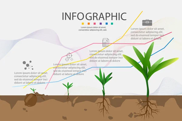 Projekt Biznesowy Szablon Opcje Lub Kroki Infografika Element Wykresu Datą — Wektor stockowy