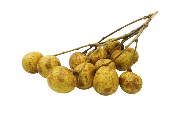 Fresh Longan Isolated White Background Clipping Path — Stock Photo, Image