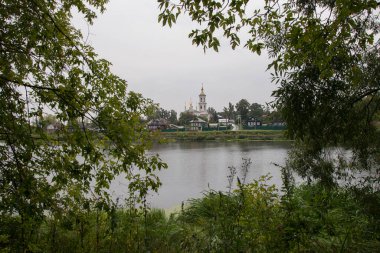 Yaz manzarası yeşil ağaçlar güzellik