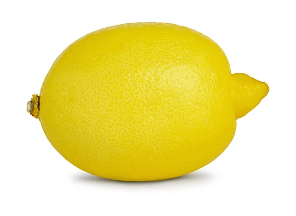 One lemon isolated on white background — Stock Photo, Image