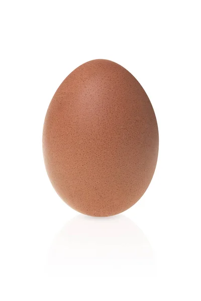 Καφέ αυγό, σε λευκό φόντο — Φωτογραφία Αρχείου