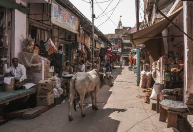 Govardhan bu şehrin bulunduğu kutsal tepenin adıdır; Hindistan 'daki Hindular için haccın ana merkezlerinden biridir..
