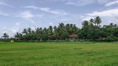 Goa, Batı Hindistan 'da Arap Denizi' nin suları tarafından yıkanan bir devlettir..