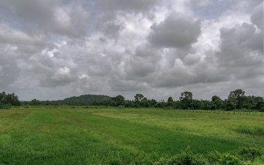 Goa, Batı Hindistan 'da Arap Denizi' nin suları tarafından yıkanan bir devlettir..