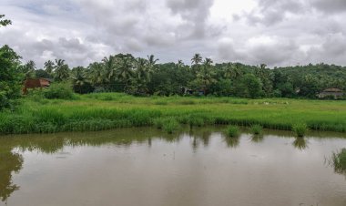 Goa, Batı Hindistan 'da Arap Denizi' nin suları tarafından yıkanan bir devlettir..
