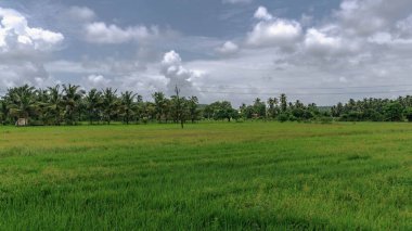 Goa, Batı Hindistan 'da Arap Denizi' nin suları tarafından yıkanan bir devlettir..