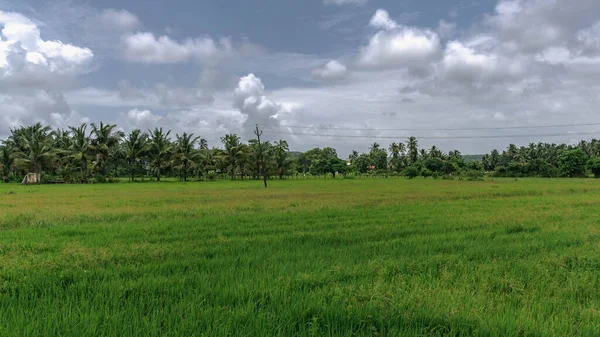 Goa, Batı Hindistan 'da Arap Denizi' nin suları tarafından yıkanan bir devlettir..