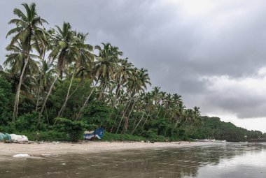 Nerul 'da Coco Beach' te terk edilmiş. Kuzey Goa