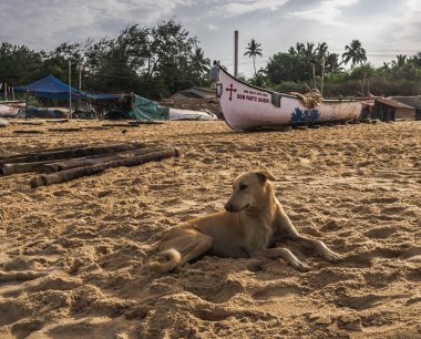 Calangute Sahili, Kuzey Goa 'nın Arap Denizi kıyısındaki en büyük plajıdır..