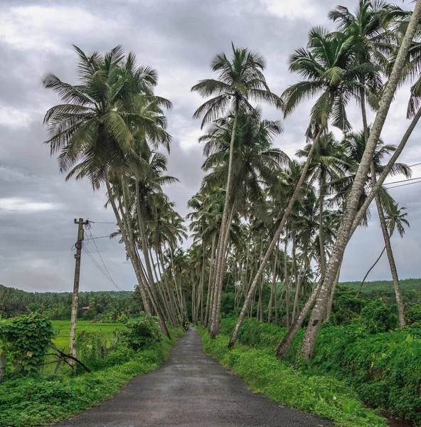 Goa State Southwest India Smallest States Former Portuguese Colony Indian — Stock Photo, Image