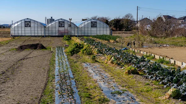 Invernaderos / invernaderos en las parcelas agrícolas . — Foto de Stock