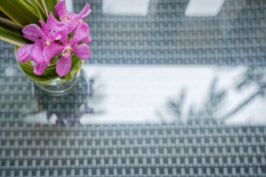 Plaj oryantal konukseverlik bir cam vazo orkide düzenlenmesi 