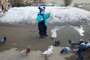 Mavi tulumlu bebek güvercinleri ekmekle besliyor
