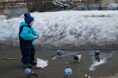 Mavi tulumlu bebek güvercinleri ekmekle besliyor