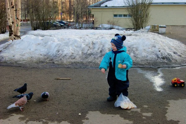 파란색 점프수트를 입은 아기가 비둘기에게 빵을 먹습니다. — 스톡 사진