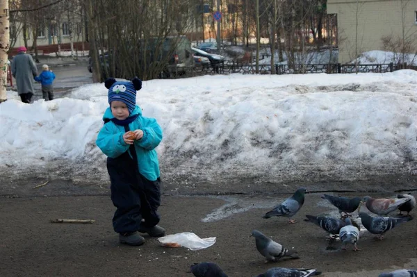 Baby in a blue jumpsuit feeds pigeons with bread — Stock Photo, Image