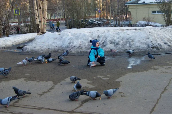 Mavi tulumlu bebek güvercinleri ekmekle besliyor