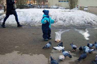 Mavi tulumlu bebek güvercinleri ekmekle besliyor
