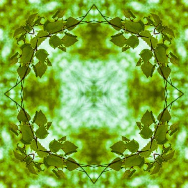 Bir fotoğraftan desen kare - gökyüzüne karşı bir huş genç yaprakları