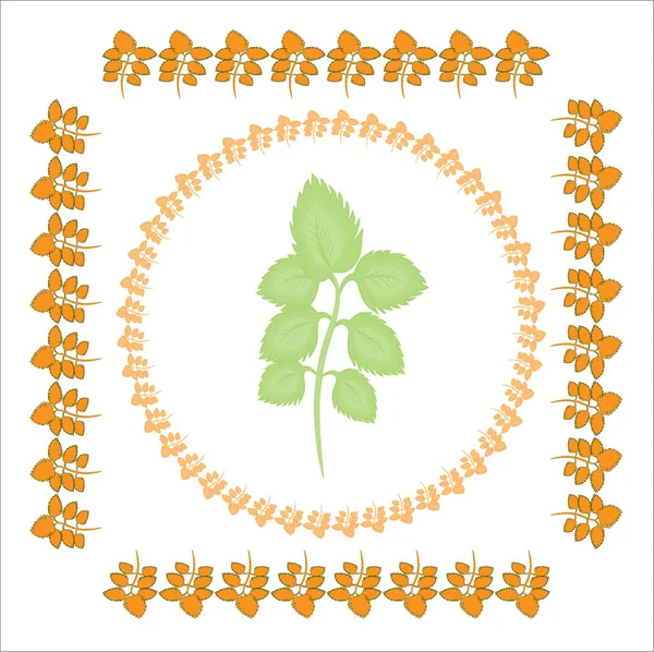 Los marcos anaranjados de las hojas de ortiga son cuadrados y redondos. Dentro del marco - ortiga verde. La ilustración sobre el tema - el otoño dorado ha llegado, el jardín, el jardín, el prado . — Vector de stock
