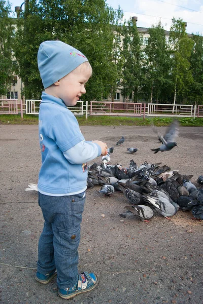 Tříletý bílý chlapec v modrém klobouku, džínách a sandálech v chladném letním dni nadšeně krmí šedé holuby. — Stock fotografie