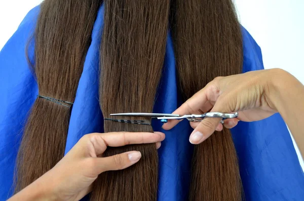 Haarschnitt Bei Wirklich Langen Haaren Der Friseur Schneidet Eine Haarlocke — Stockfoto