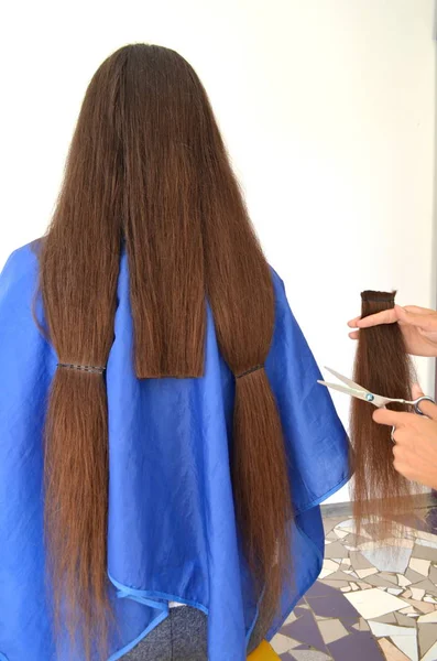 Haarschnitt Bei Wirklich Langen Haaren Der Friseur Schneidet Eine Haarlocke — Stockfoto